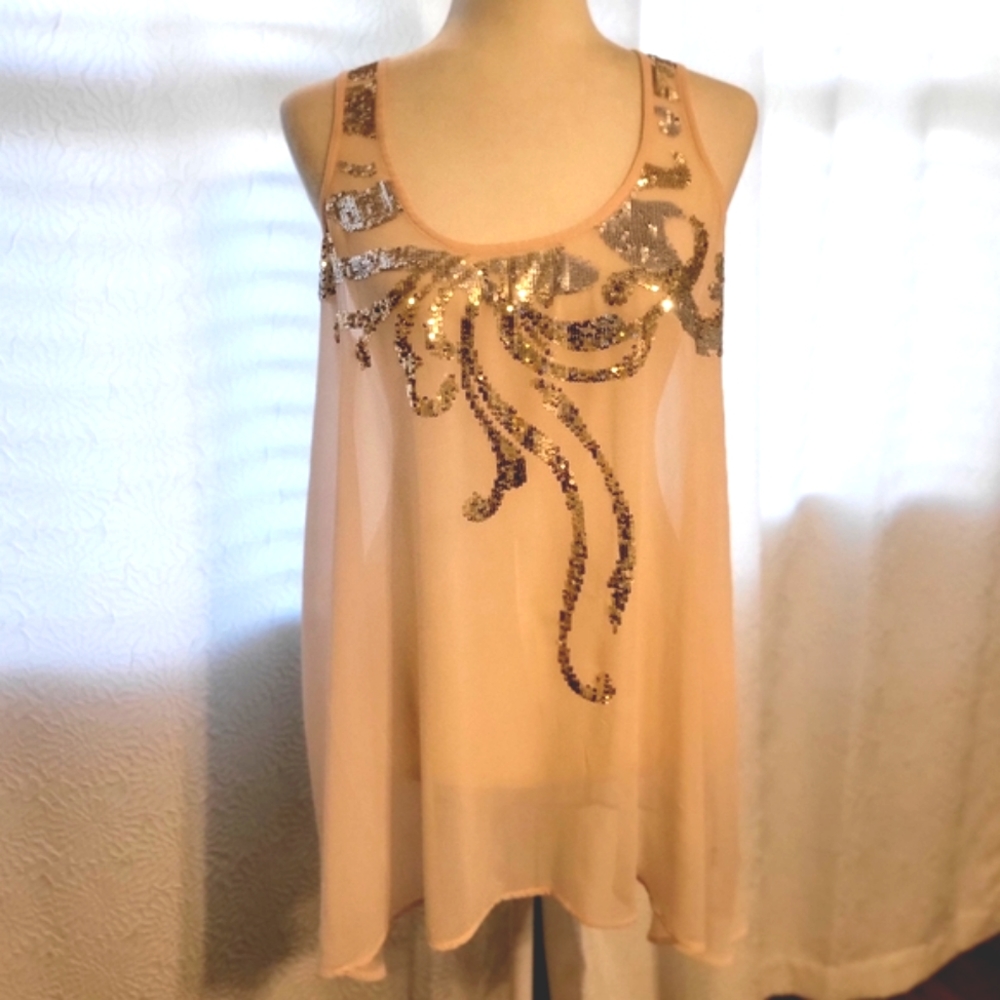 EXPRESS Pale Pink Sheer Tunic with sequins